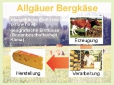 Grafische Darstellung der Entstehung von Erzeugnissen mit geschützter Ursprungsbezeichnung Grafische Darstellung der Entstehung von Erzeugnissen mit geschützter Ursprungsbezeichnung