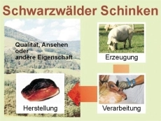 Grafische Darstellung der Entstehung von Erzeugnissen mit geschützter geografischer Angabe Grafische Darstellung der Entstehung von Erzeugnissen mit geschützter geografischer Angabe