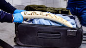 Geschnitztes Elfenbein im Koffer