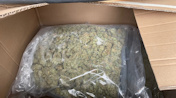 Sicherstellung von circa drei Kilogramm Marihuana