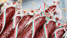 Hungarian salami Hungarian salami